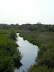 River Wensom at Drayton