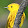 Susan Scharenberg Susan Scharenberg's profile photo