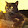 Carmenro guerrero Carmenro guerrero's profile photo