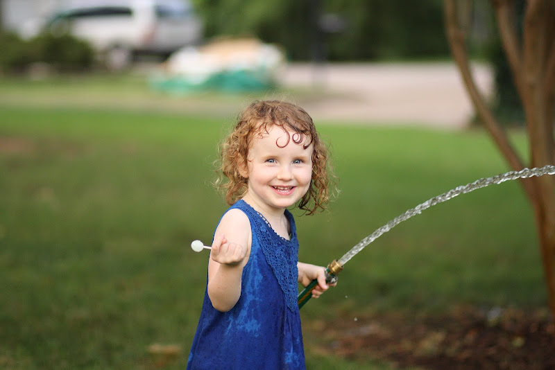 IMAGE: https://lh6.googleusercontent.com/-chhjpdeCgiU/T8wvrGZ1ZoI/AAAAAAAAM_Q/Zwhj8KmdfAQ/s800/IMG_6523.JPG