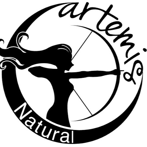 Artemis Doğal Ürünler Ltd. logo
