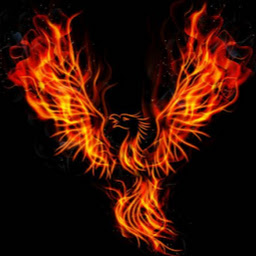 phoenix's user avatar