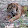 Nick Metivier Nick Metivier's profile photo