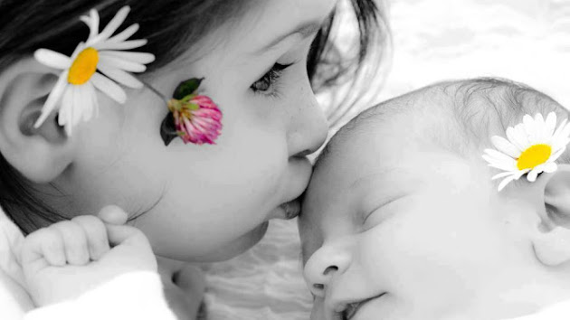 Cover photo