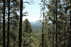 Paseo del Lobo Section 42 (Photo by M. Sorum)