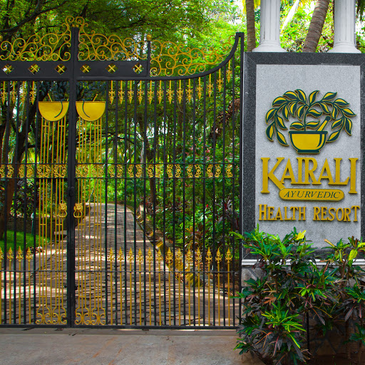 Kairali - The Ayurvedic Healing Village, Palakkad, Kerala, III/73, Palayamkadu,, P.O. - Olassery, Kodumbu, Palakkad, Kerala 678551, India, Yoga_Retreat_Center, state KL