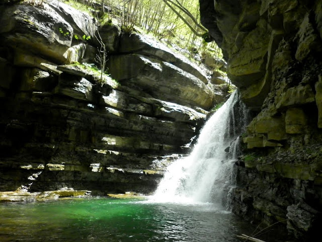 P1010027.JPG