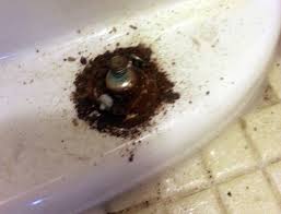 Image result for hacksaw corroded toilet bolt