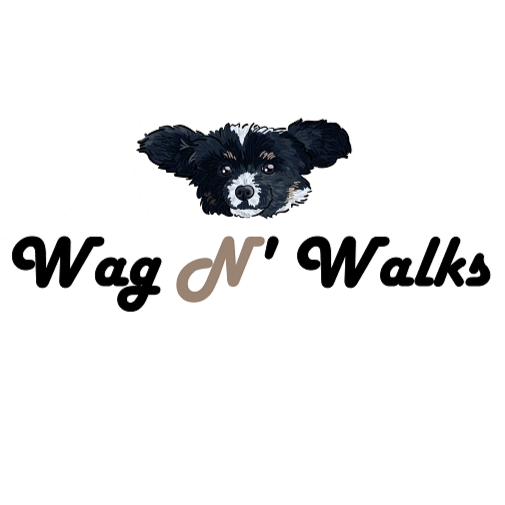 Wag N' Walks