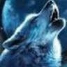 avatar of Kinwolf