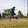 Lennon Patton Lennon Patton's profile photo