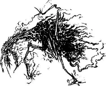 D:\0 wd yedek\acr yedek\1 film indirme\forbidden_magic_ancients_12_dosyalar\image031.jpg