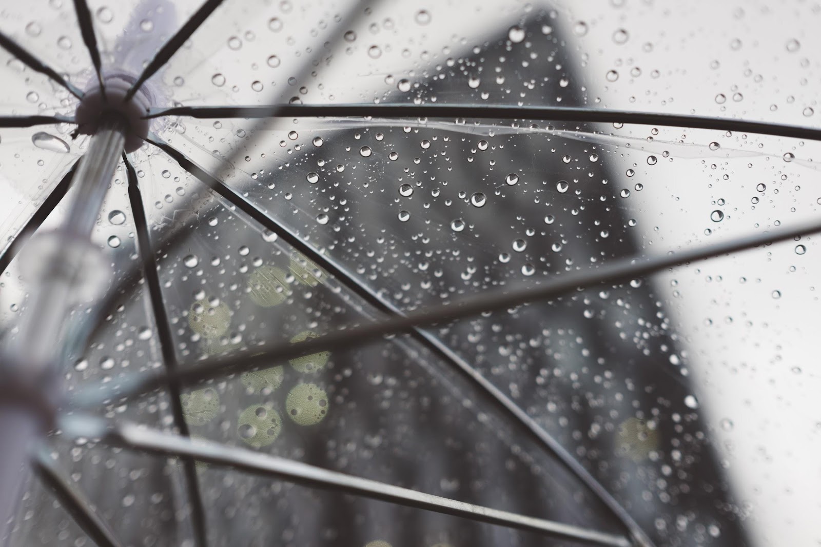 Alt: Rain droplets on a clear umbrella.