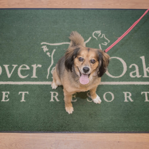 Rover Oaks Pet Resort, Katy