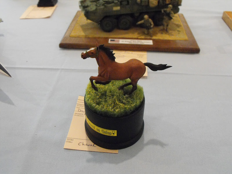 Maquettexpo 2012 - Page 2 DSCF2465