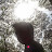 Xaeons Graeve avatar image