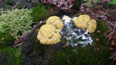 Photos of BroodjesBoetiek