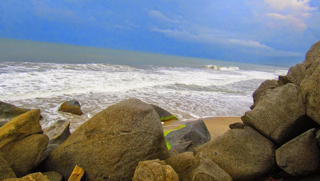 Cover photo