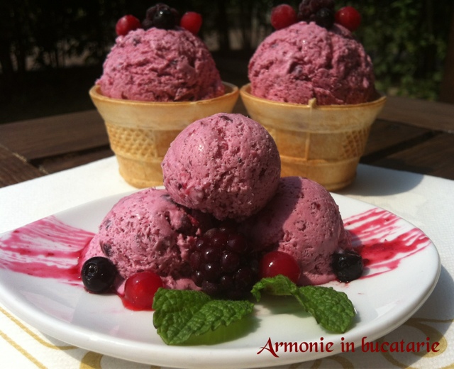 ARMONIE IN BUCATARIE: Înghețata cu fructe de pădure - de post