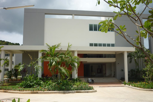 The Natural Resort
