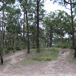 Hill next to Tattersals campground