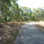 Trail in Green Point Reserve (403159)
