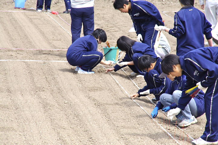 写真：棒立て