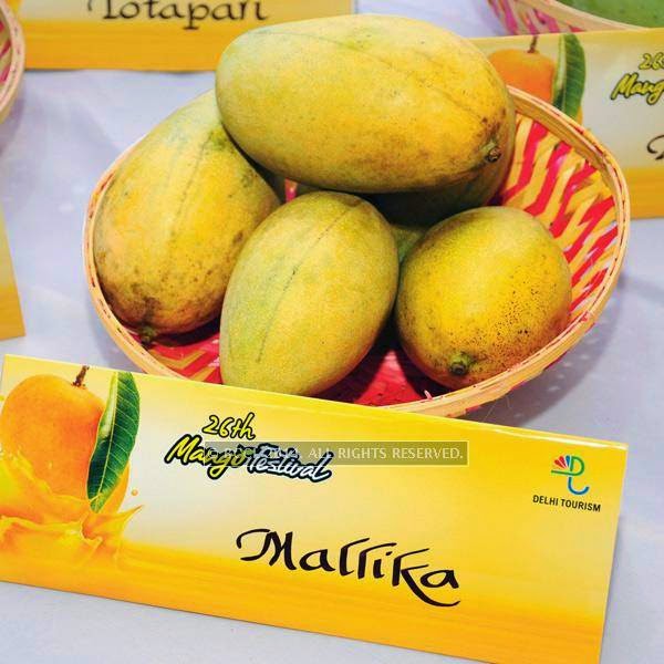 Mallika mango at the 26th Mango Festival, organised by Delhi Tourism at Dilli Haat, Pitampura, Delhi.