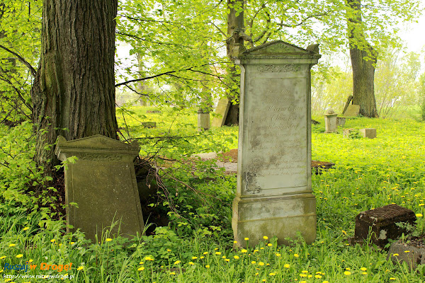 Cmentarz Mennonicko-Ewangelicki w Fiszewie