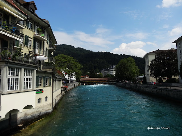 passeando - Passeando pela Suíça - 2012 - Página 13 DSC04618