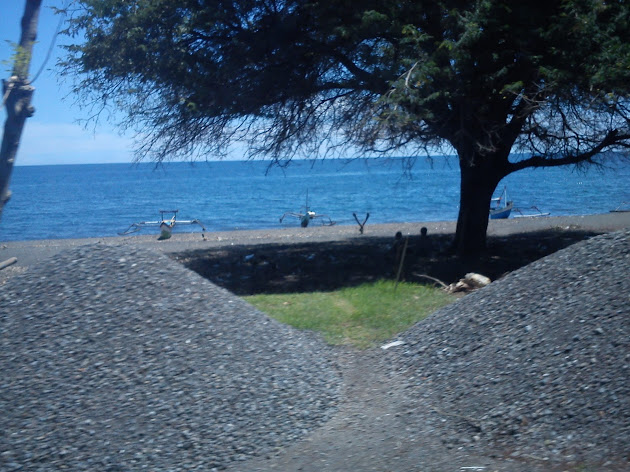 Cover photo