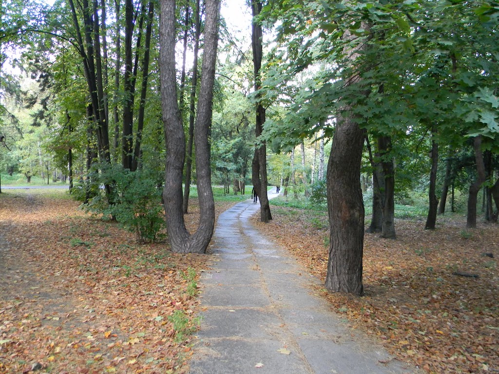 Парк Нивки 