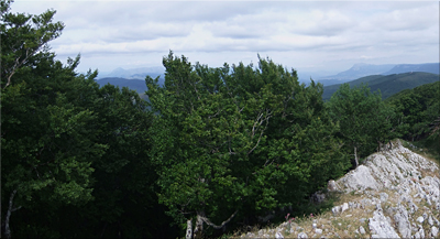 Panorámica desde la cima