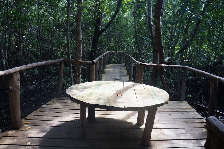 Кения+Танзания на Новый Год 2012