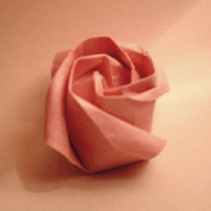 Origami Instructions Rose Pink 3D