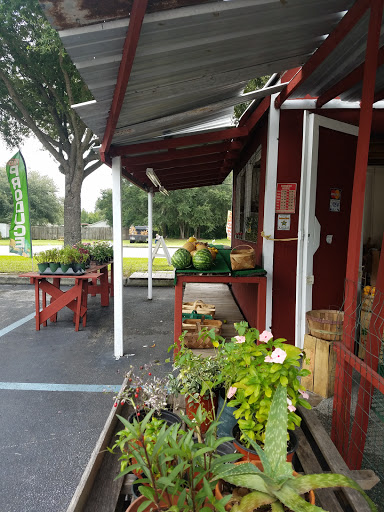 Produce Market «Crossroads Produce», reviews and photos, 10463-10487 S County Rd 39, Lithia, FL 33547, USA