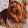 Robert Combes Robert Combes's profile photo