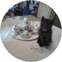 Image Google de Marie-France CELLIER