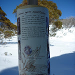 Snow gum sanctuary sign (300046)