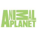 BIG TV Semarang - Animal Planet