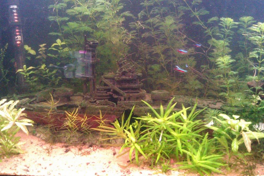 IMAG0005.jpg