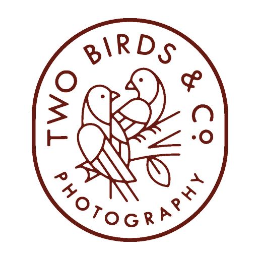 Two. Birds & Co. logo