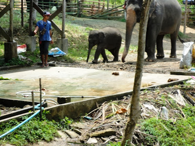 Майский Тай (Бангкок-Самуи-Тао)