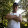 O'Shady J.W. O'Shady J.W.'s profile photo