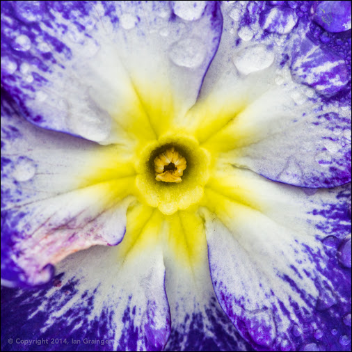 posted image