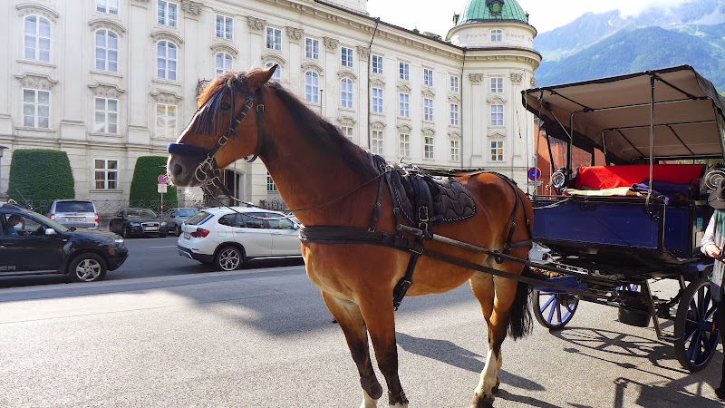 Посмотри, какое лето! Или сказочная Бавария – 2
