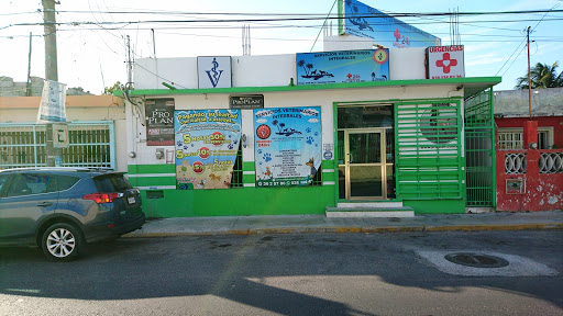 Servicios Veterinarios Integrales, Calle 33 95 A, Burócrata, 24160 Cd del Carmen, Camp., México, Cuidado de mascotas | CAMP