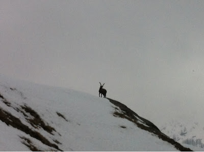 Traversée des Alpes à skis
