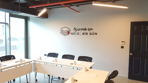 Workinton Bayraklı (Bayraklı Tower)