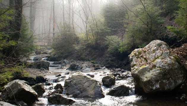 Cover photo